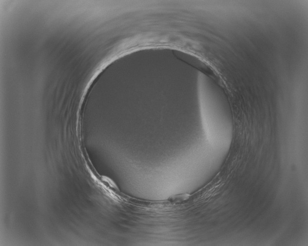 X0000051261527200507082204