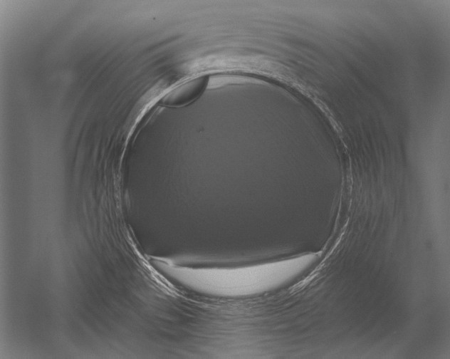 X0000051261529200507082204