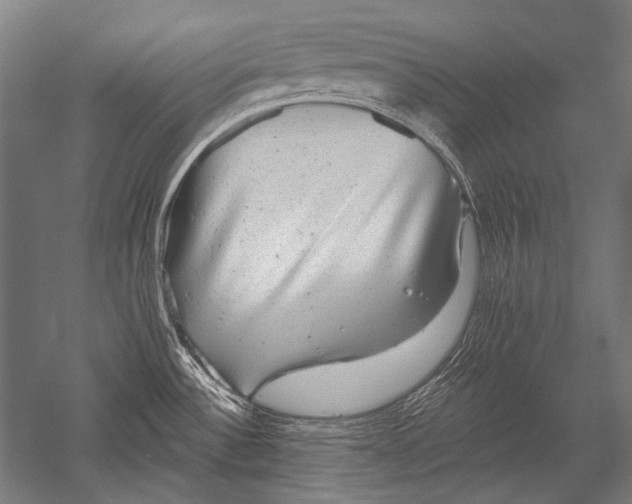 X0000051261532200507082204