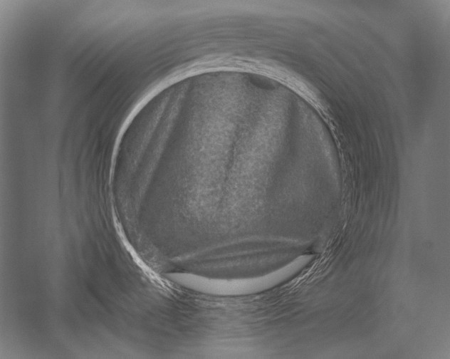X0000051261536200507082204
