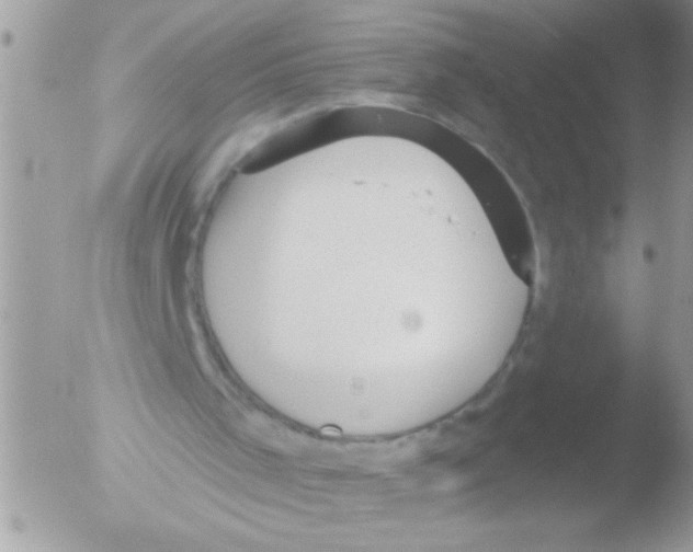 X0000051260001200507152228