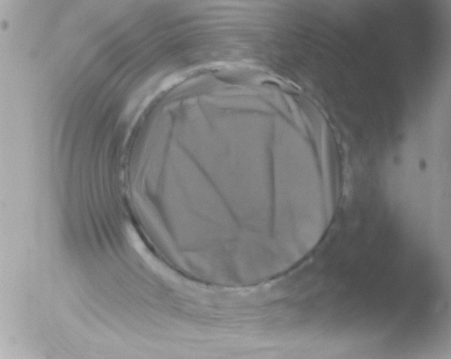 X0000051260002200507152228