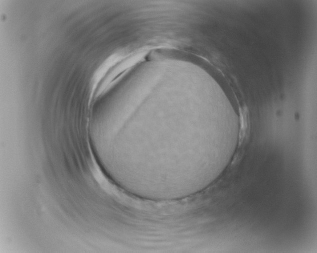 X0000051260003200507152228