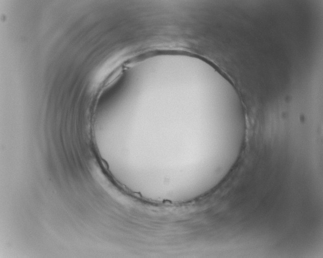 X0000051260005200507152228