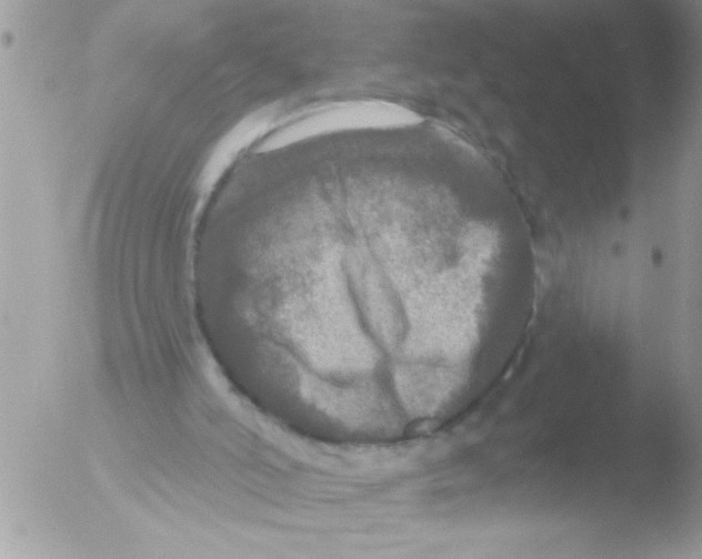 X0000051260006200507152228