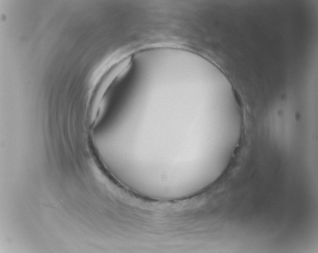 X0000051260007200507152228