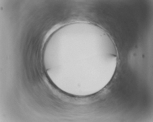 X0000051260008200507152228