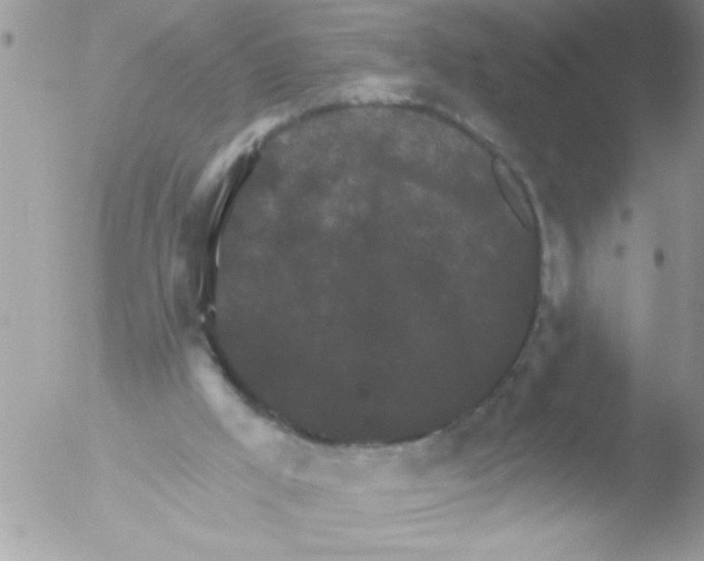 X0000051260009200507152228