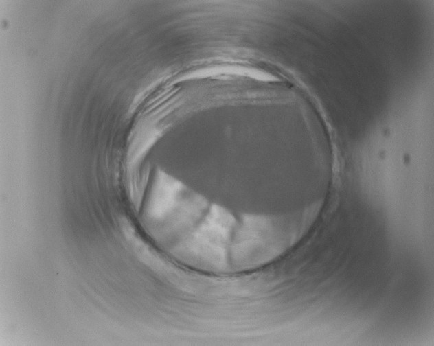 X0000051260010200507152228