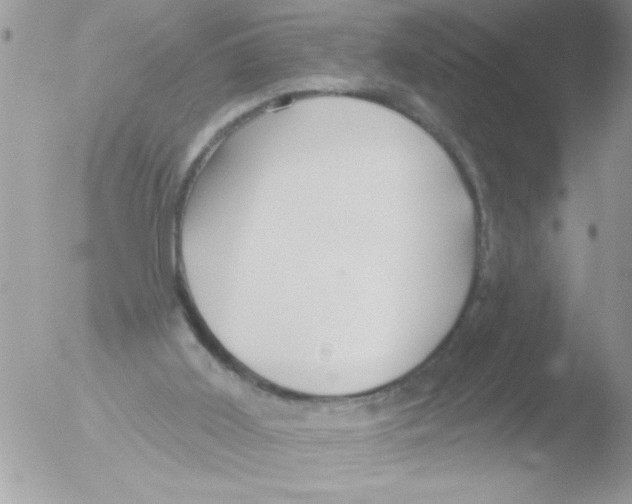 X0000051260011200507152228