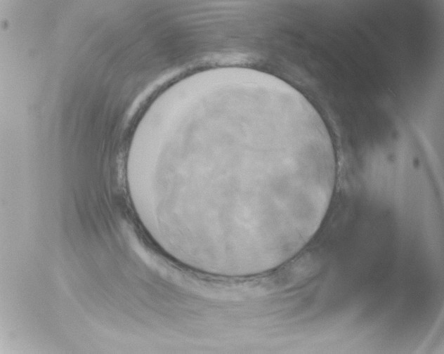 X0000051260012200507152228