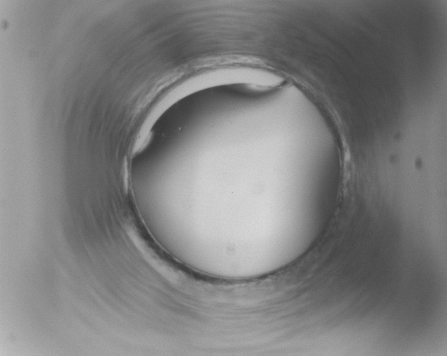 X0000051260013200507152228