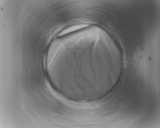 X0000051260014200507152228