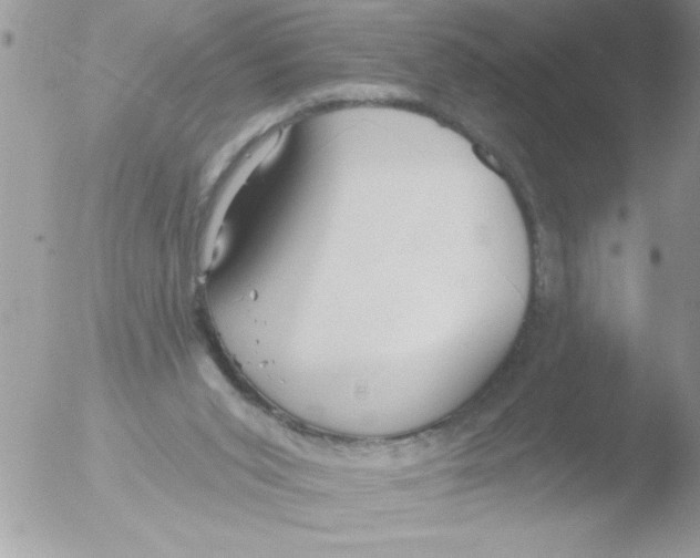 X0000051260015200507152228