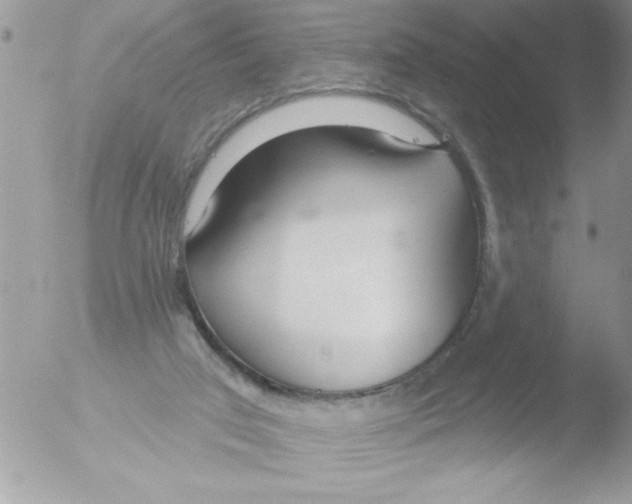 X0000051260017200507152227