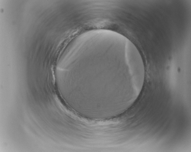 X0000051260018200507152227