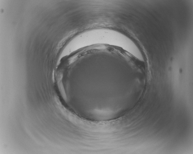 X0000051260019200507152227