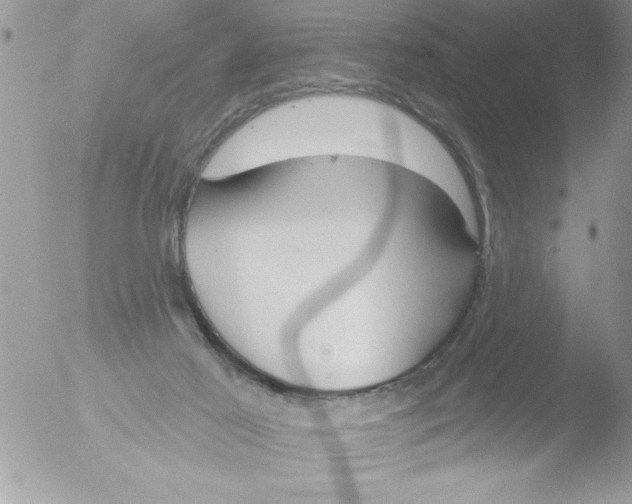 X0000051260021200507152227