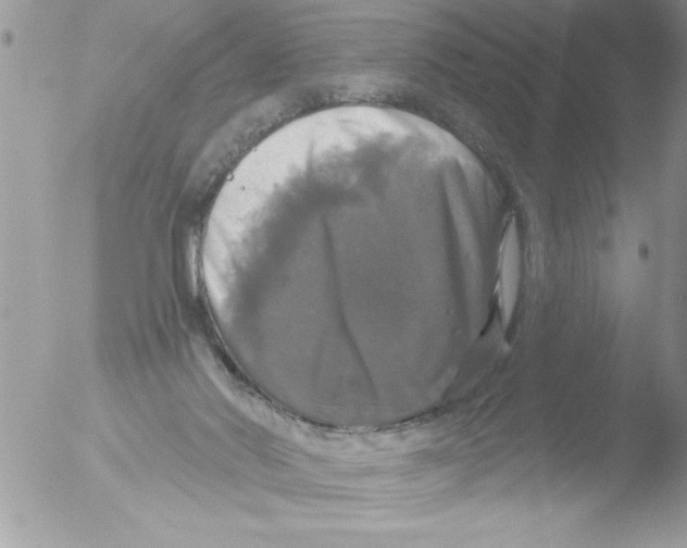 X0000051260022200507152227