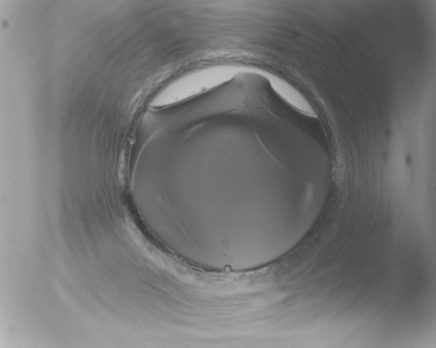 X0000051260023200507152227