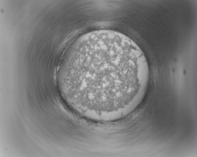 X0000051260024200507152227