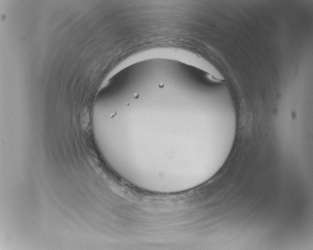 X0000051260025200507152227