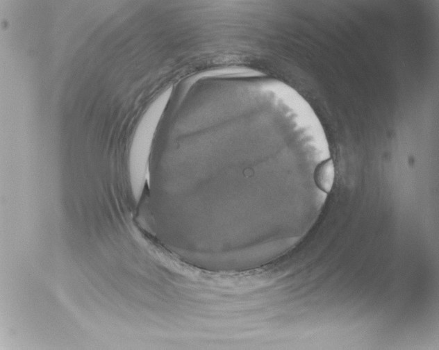 X0000051260026200507152227