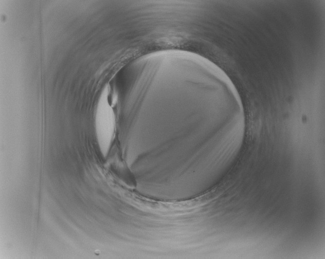 X0000051260027200507152227