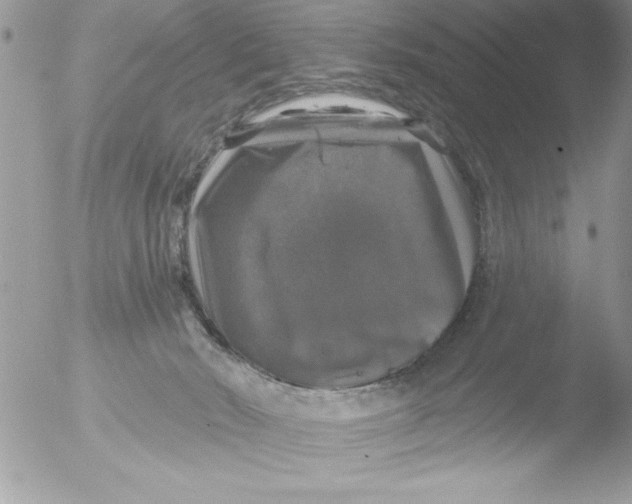 X0000051260030200507152227