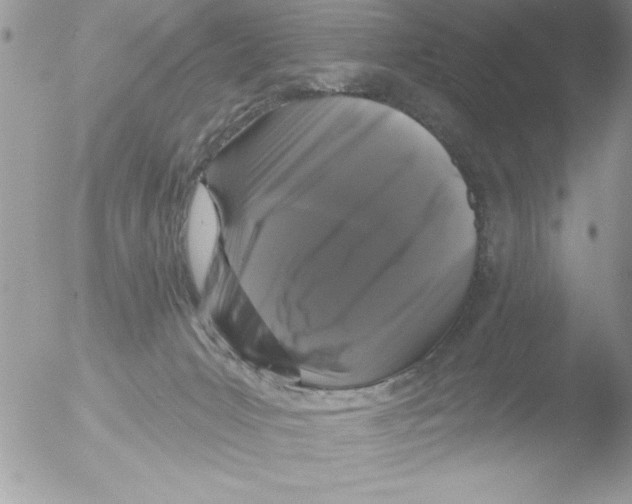 X0000051260031200507152227