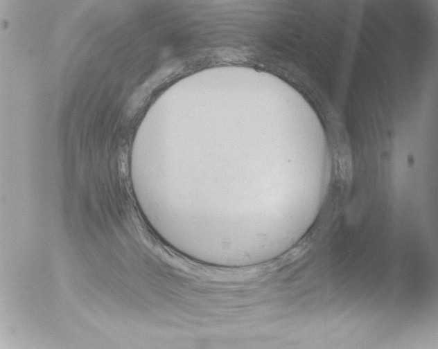 X0000051260032200507152227