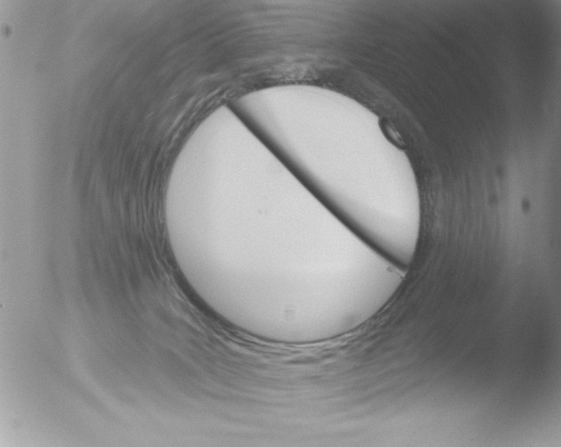 X0000051260035200507152227