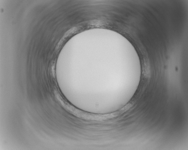 X0000051260036200507152227