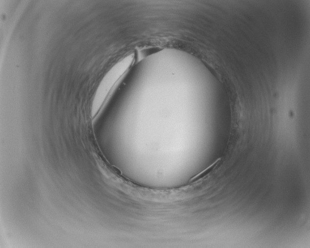 X0000051260037200507152227