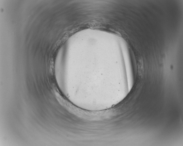 X0000051260038200507152227