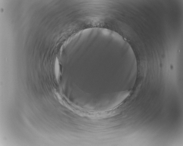 X0000051260039200507152227