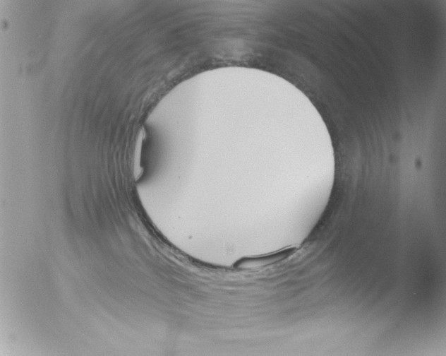 X0000051260040200507152227