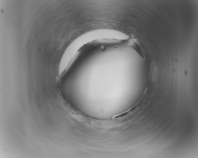 X0000051260041200507152227