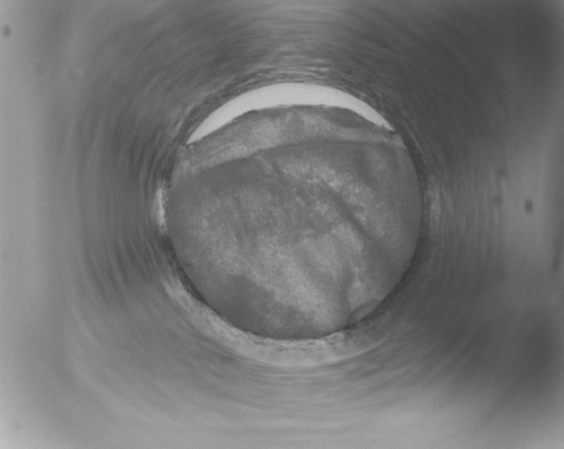 X0000051260042200507152227