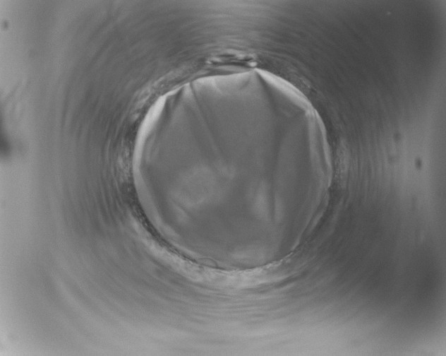 X0000051260043200507152227