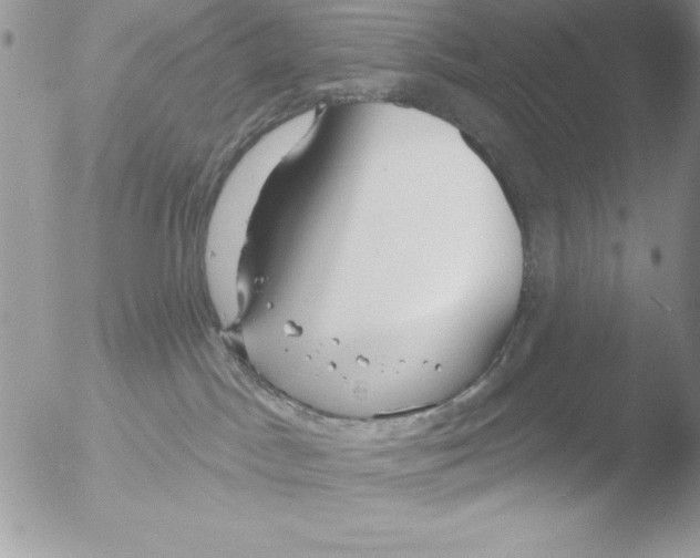 X0000051260045200507152227