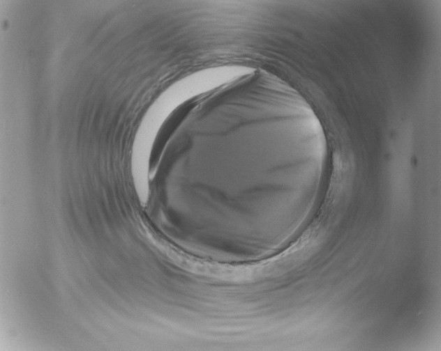 X0000051260048200507152227