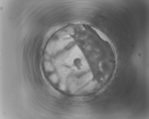 X0000051260049200507152226