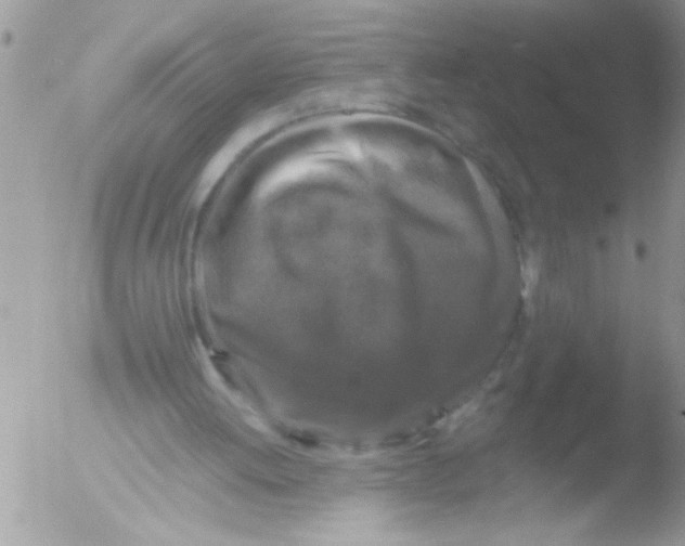 X0000051260052200507152226