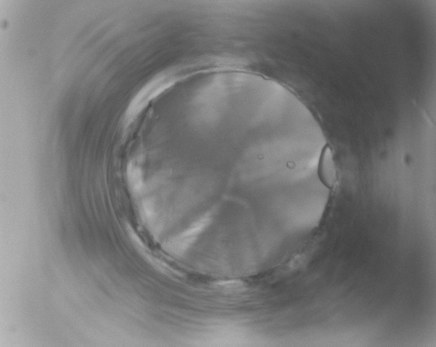 X0000051260053200507152226