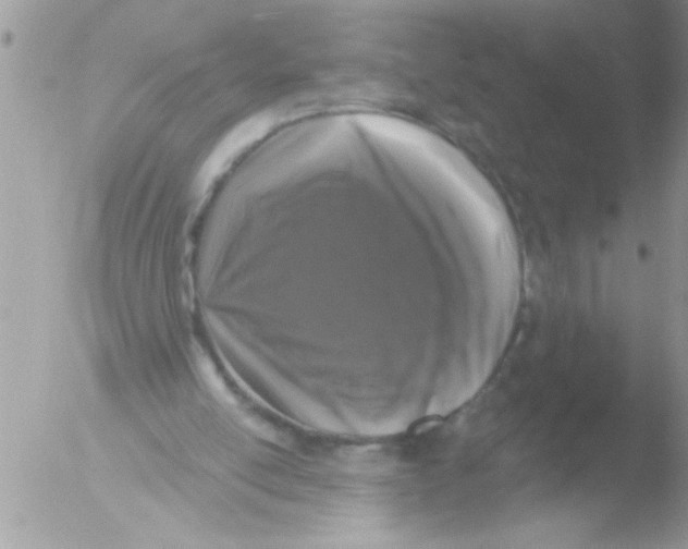 X0000051260054200507152226