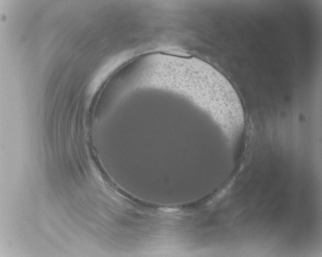 X0000051260055200507152226