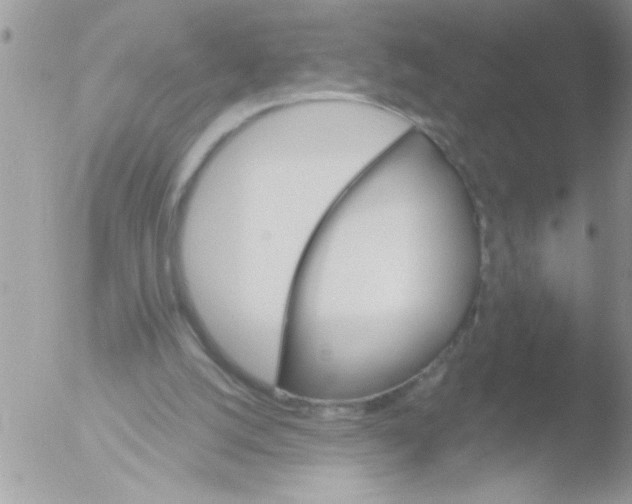 X0000051260056200507152226