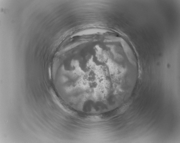 X0000051260061200507152226