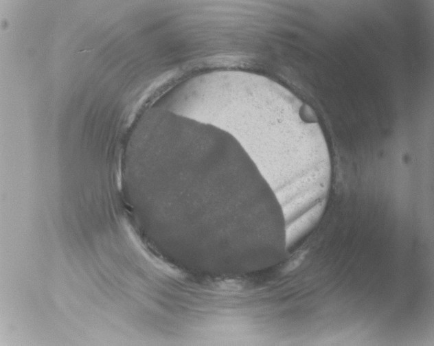 X0000051260062200507152226